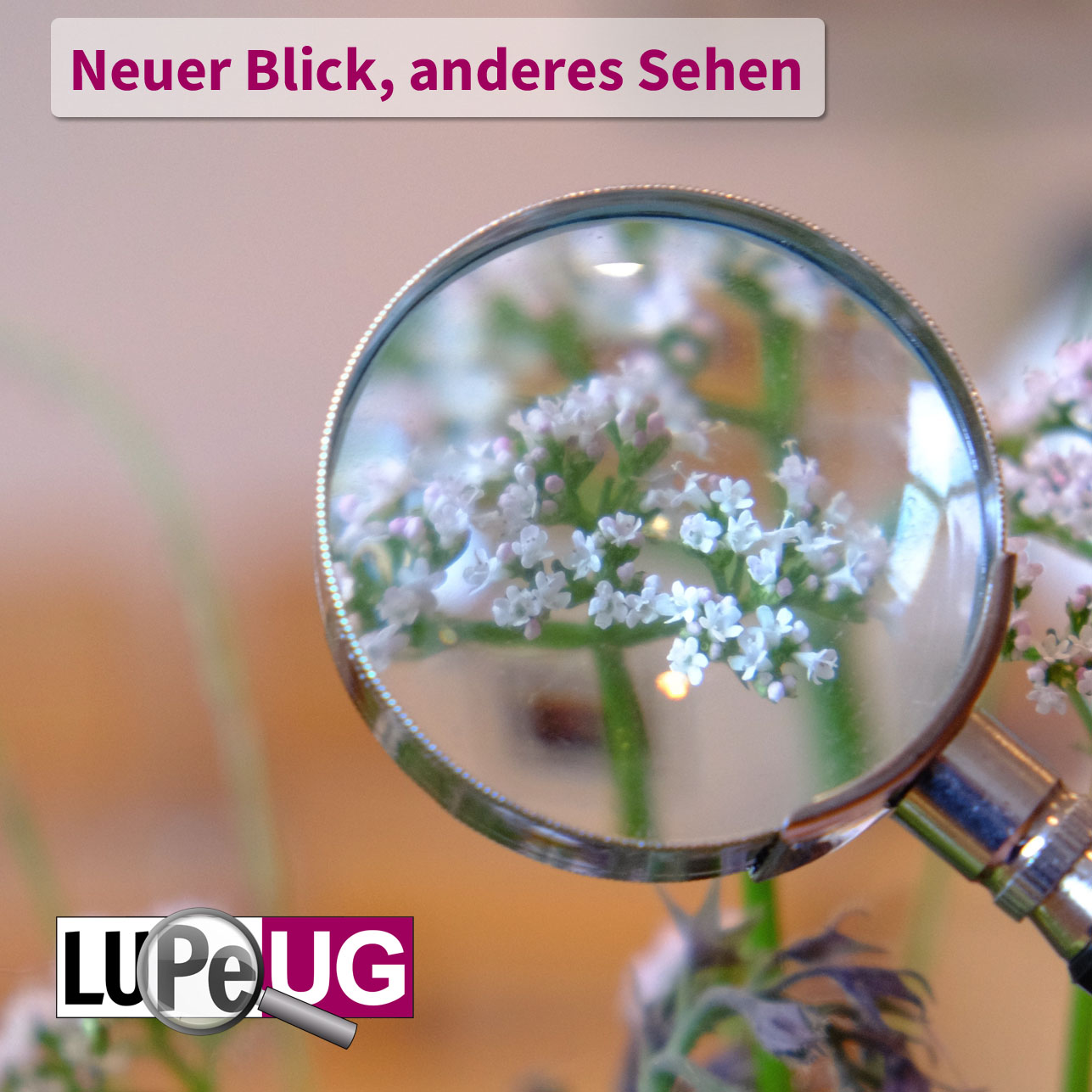 Kontrolle und Prüfung